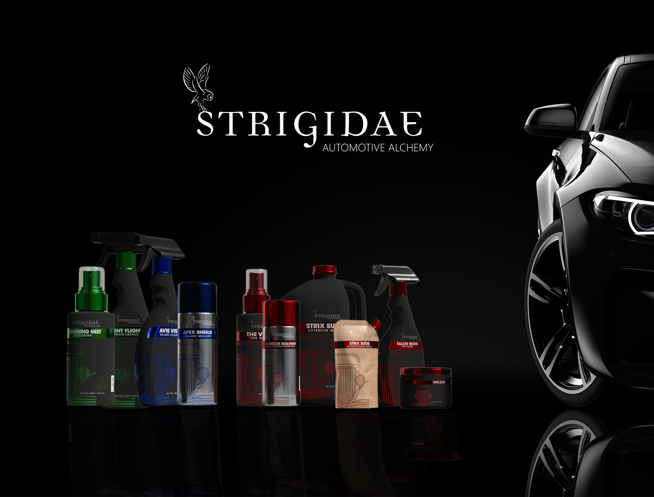 Strigidae Automotive Detailing